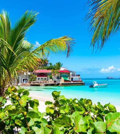 The 8 Best Things to Do in St Barts 9 Island of St Barts