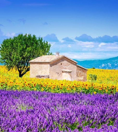 Looking to raise Your Lifestyle: Buy or rent a Luxury Property in France 7 living in france