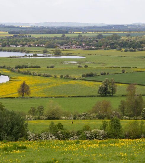 Why Oxfordshire Is the Perfect Weekend Escape from London 7 south oxfordshire countryside